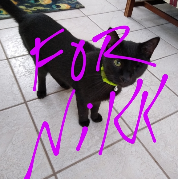 kate spade Handbags - NOT FOR SALE Kate Spade Marga